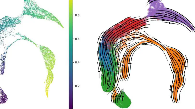 CellFlows: Inferring Splicing Kinetics from Latent and Mechanistic Cellular Dynamics