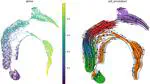 CellFlows: Inferring Splicing Kinetics from Latent and Mechanistic Cellular Dynamics